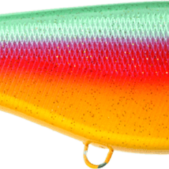 Buster Jerk Shallow - Papegoj