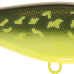 Baby Buster - Hot Pike