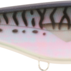 Baby Buster - Mackerel Pearl