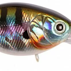 Cranky X Deep - Bluegill