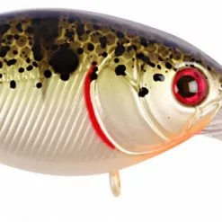 Cranky X Deep - Natural Perch