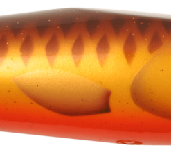 The Pig - Brown Parrot