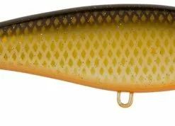 Jonny Vobbler - Shitty Roach