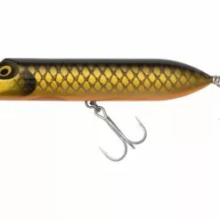 Hi-Lo 200mm 100g Golden Roach