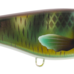 Buster Jerk - Green Napoleon