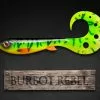 Wingman Curly - Burbot Rebel