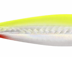 Goby - Yellow Diamond