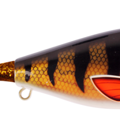 Guppie Junior - Golden Perch