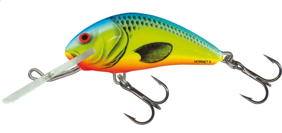 Rattlin Hornet - CB 1 Rattlin Hornet - CB