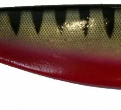 Shad BigX 18-23cm Abborre