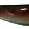 Shad BigX 18-23cm Redfish