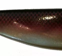 Shad BigX 18-23cm Redfish