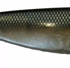 Shad BigX 18-23cm Strömming