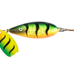 Lotto Spinnare Pro 422