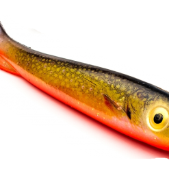 McRubber Junior Real Series 17cm Arctic Char