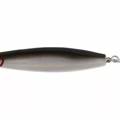 Salty - Canned Sardine