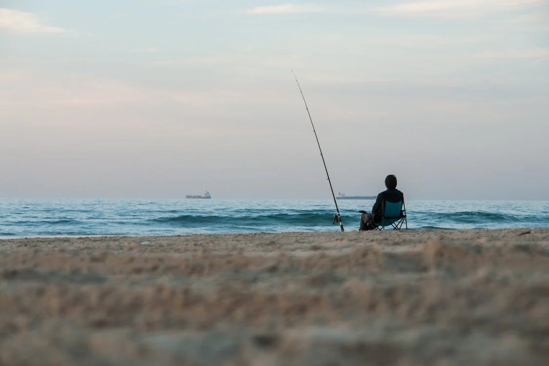 Framsida -Havsöringsbeten Försäljning pexels photo 15166356