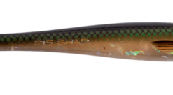 Pig Shad 23cm 90g - Emerald Herring