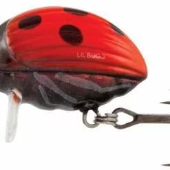 Lil' Bug - LB