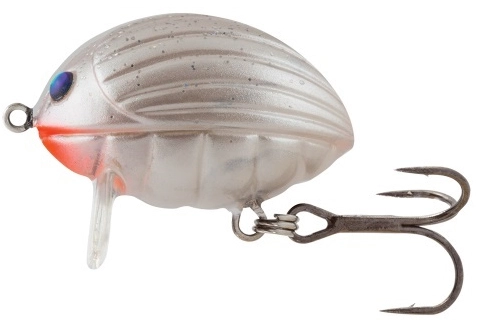 Lil' Bug - PBG 1 Lil' Bug - PBG