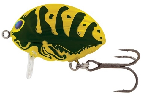 Lil' Bug - WSP 1 Lil' Bug - WSP