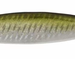 Salty - Green Sardine
