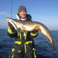 Lucy 2.0 Black/Gold 7 Lucy 2.0 Black/Gold -Havsöringsbeten Försäljning steve3