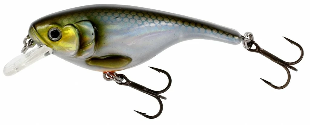 BabyBite Shallow - Blueback Herring 1 BabyBite Shallow - Blueback Herring