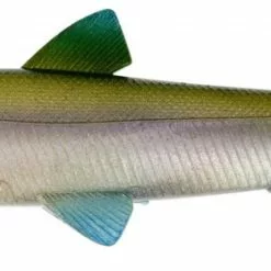 Hypo Teez ST - Smelt