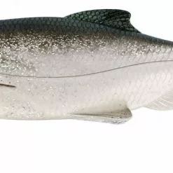 Ricky The Roach 18cm 85g - Headlight