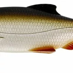 Ricky The Roach 18cm 85g - Lively Roach