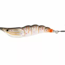 Salty The Shrimp - White Shrimp