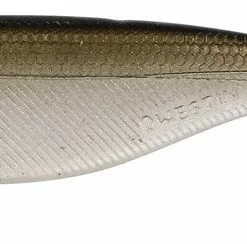 Shad Teez 16cm 39g - Lively Roah