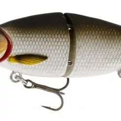 Ricky The Roach - Lively Roach