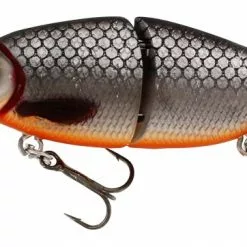 Ricky The Roach - Dull Coward