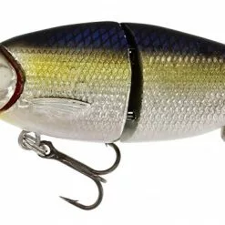 Ricky The Roach - Blue Glamour