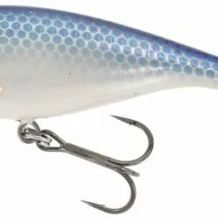 Platypus Shallow 10cm 15g - Abalon