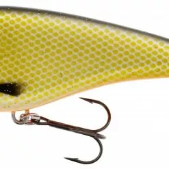 Westin Swim - Official Roach