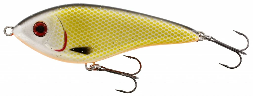 Westin Swim 15cm 107g Suspending - Official Roach 1 Westin Swim 15cm 107g Suspending - Official Roach
