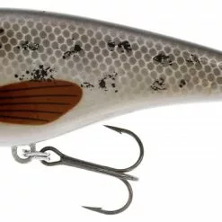 Westin Swim - Stamped Goby