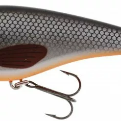 Westin Swim - Dull Coward